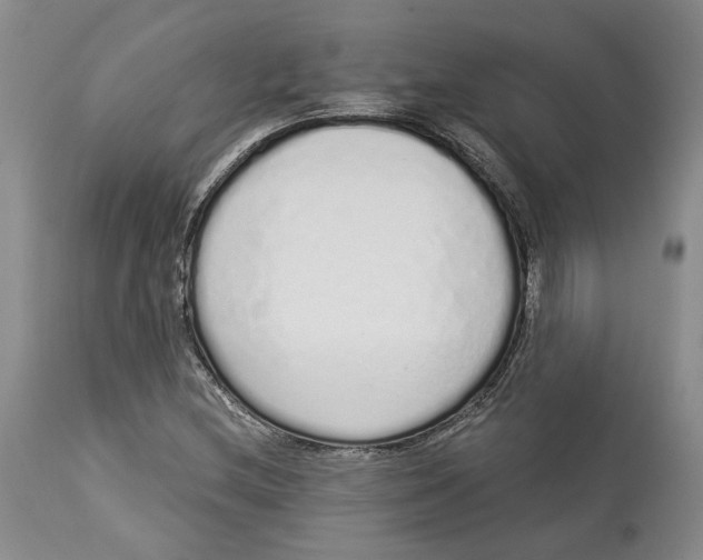 X0000114031212200910231851