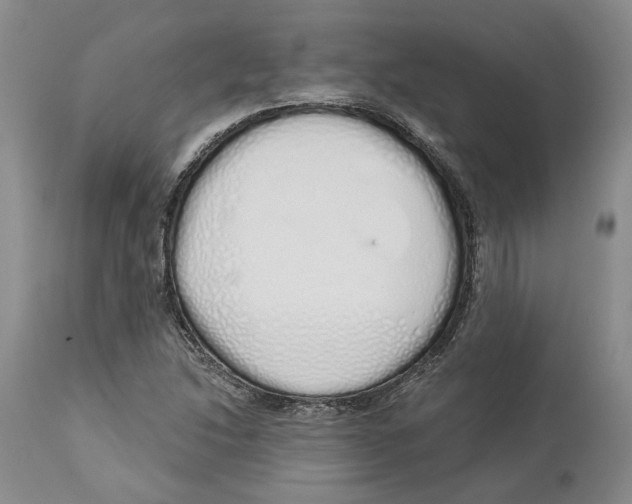 X0000114031214200910231851