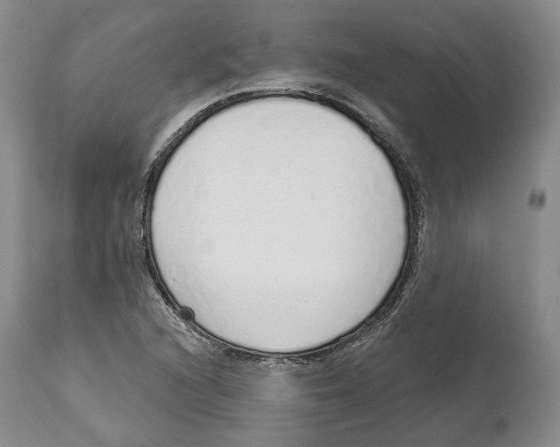 X0000114031216200910231852