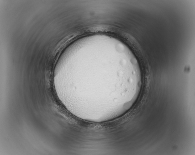 X0000114031217200910231852