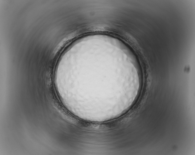 X0000114031218200910231852