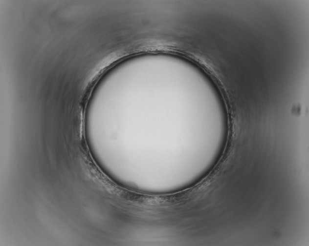 X0000114031219200910231852