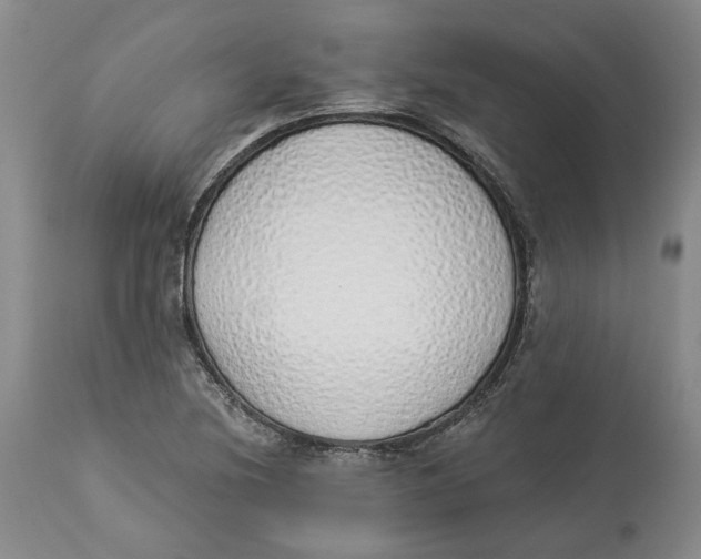 X0000114031220200910231852