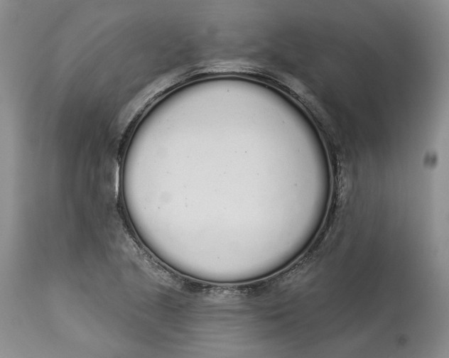 X0000114031221200910231852