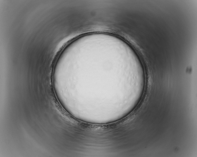 X0000114031222200910231852