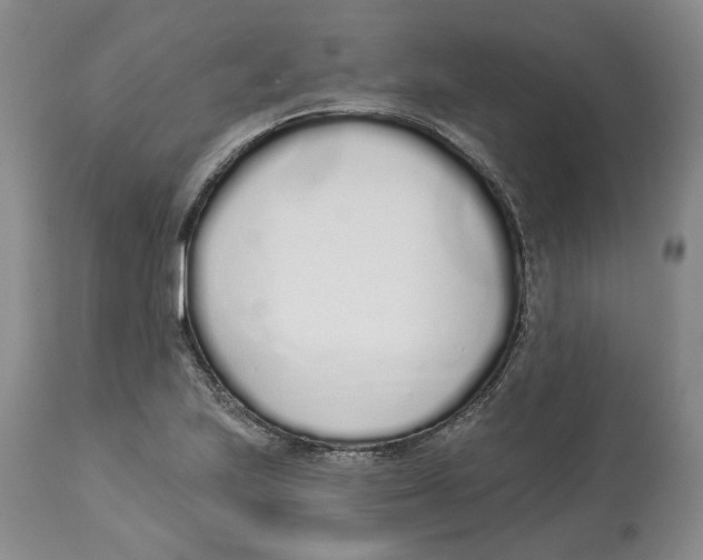 X0000114031223200910231852