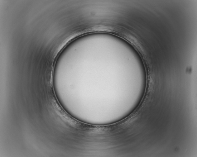 X0000114031228200910231852