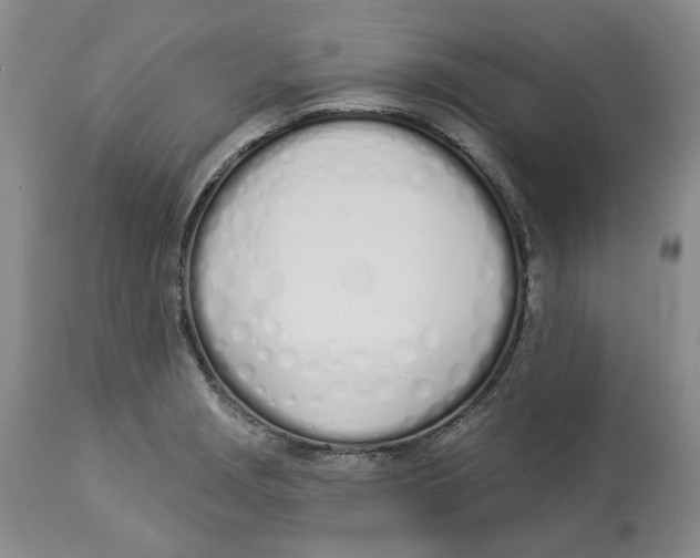 X0000114031229200910231852