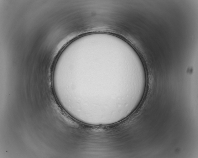 X0000114031230200910231852