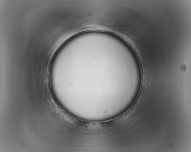 X0000114031231200910231852