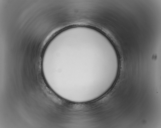 X0000114031232200910231852