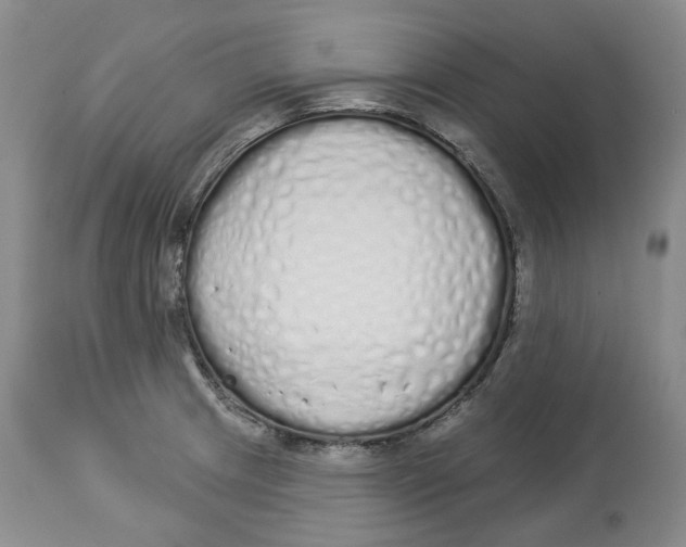 X0000114031233200910231852