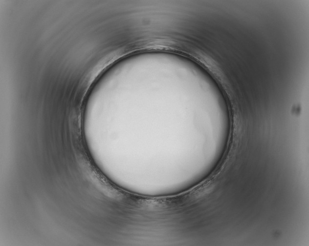 X0000114031234200910231852