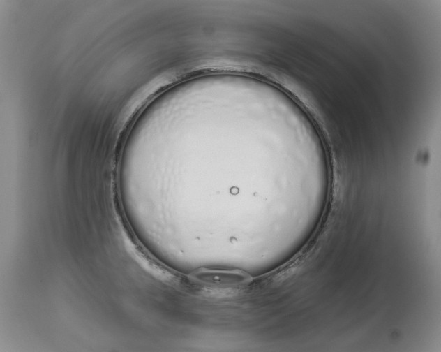 X0000114031237200910231852