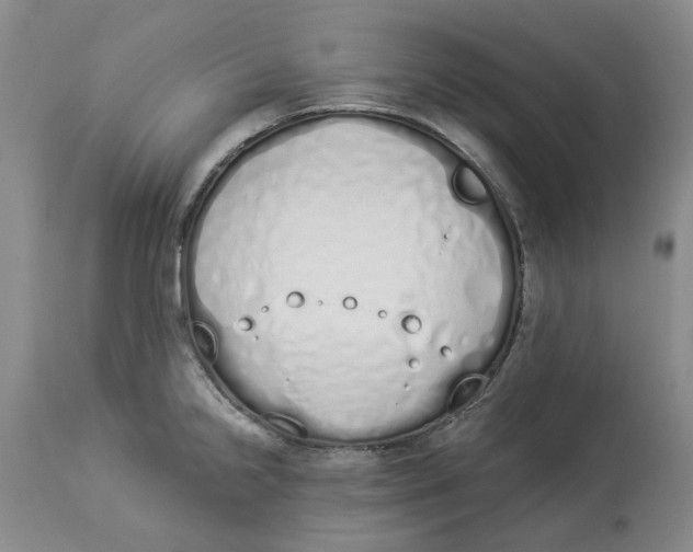 X0000114031238200910231852