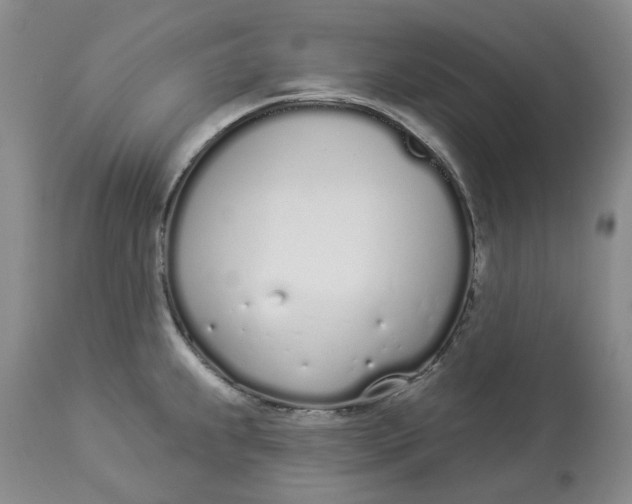 X0000114031239200910231852