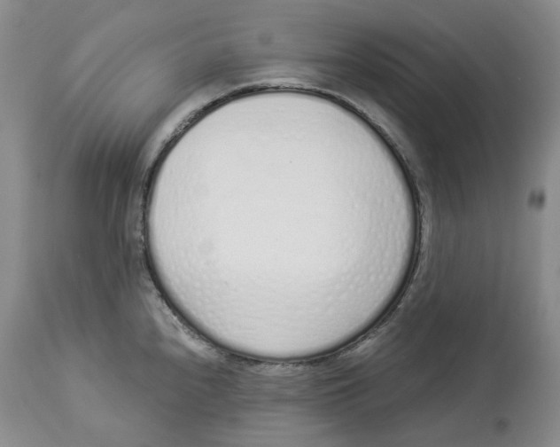 X0000114031240200910231852