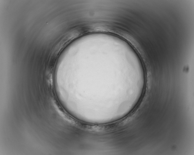 X0000114031241200910231852