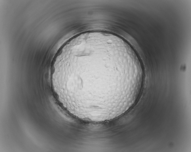 X0000114031242200910231852