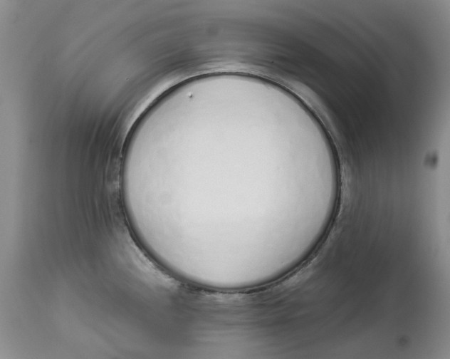 X0000114031244200910231852