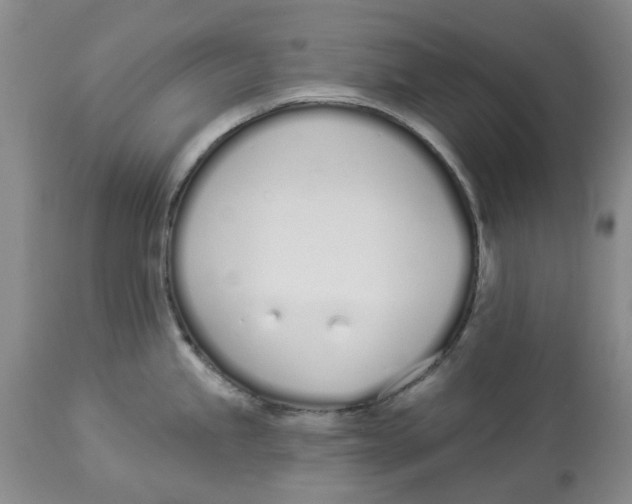 X0000114031245200910231852