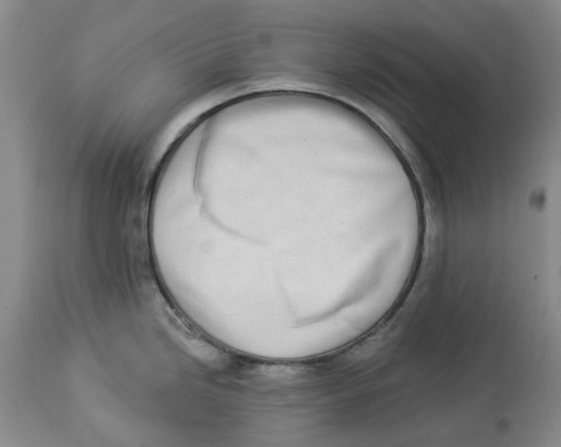 X0000114031246200910231852