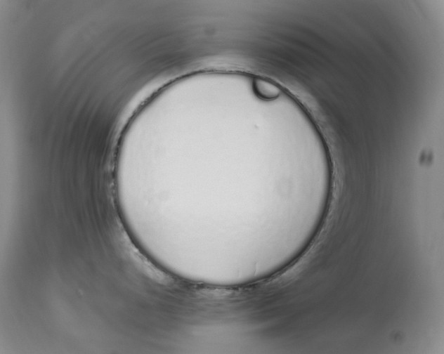 X0000114031248200910231852