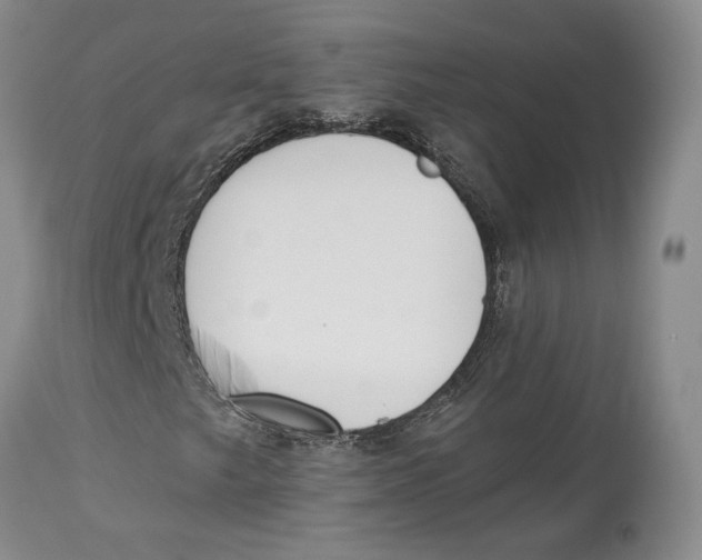 X0000114031249200910231851