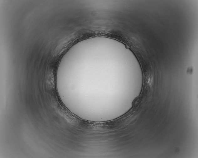 X0000114031252200910231851