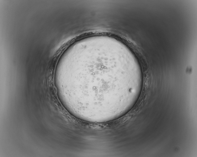 X0000114031255200910231851