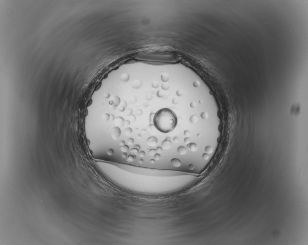 X0000114031257200910231851