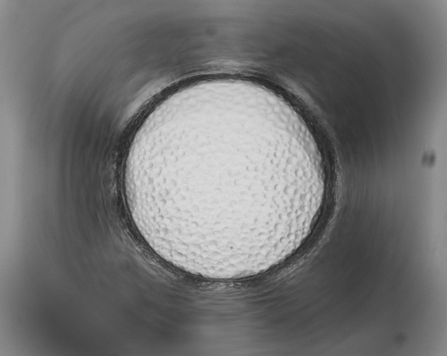 X0000114031259200910231851