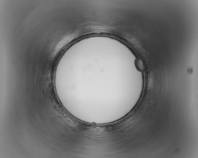 X0000114031261200910231851