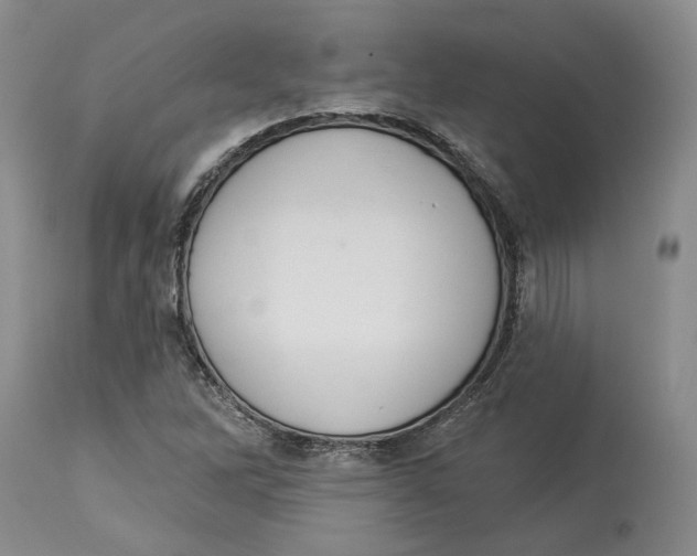 X0000114031262200910231851