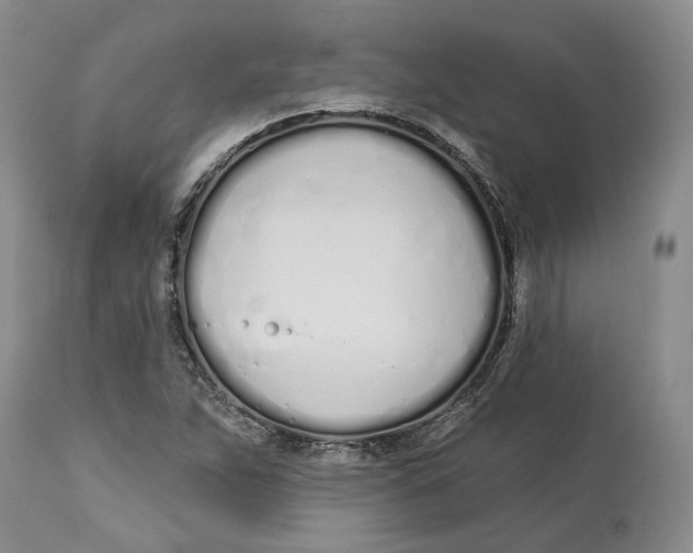 X0000114031263200910231851