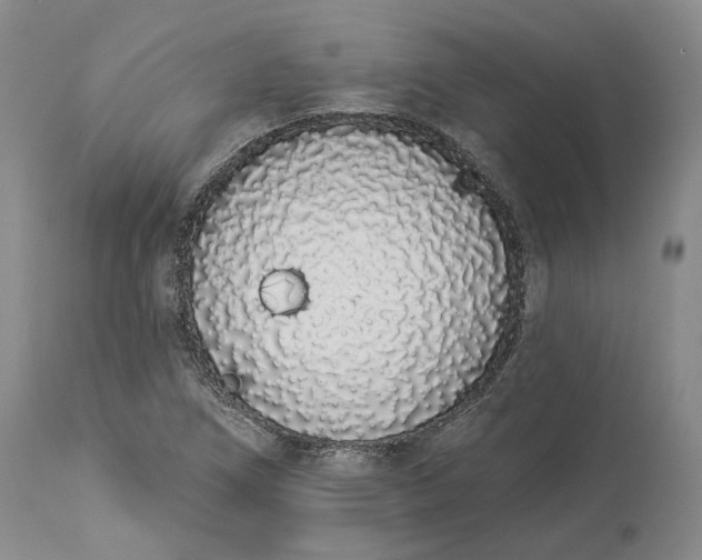 X0000114031266200910231851