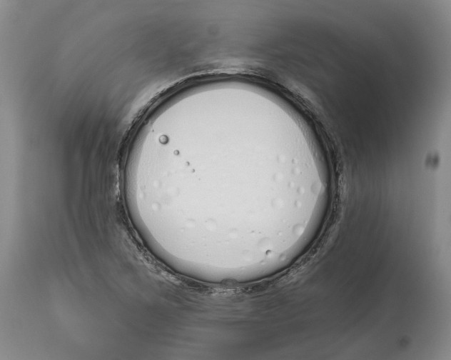 X0000114031267200910231851