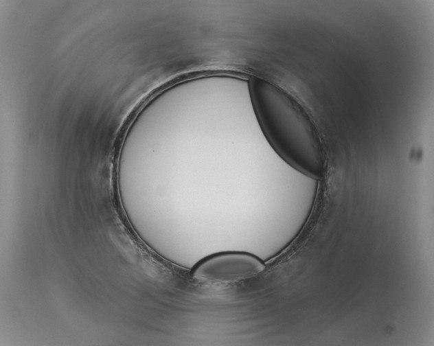 X0000114031268200910231851