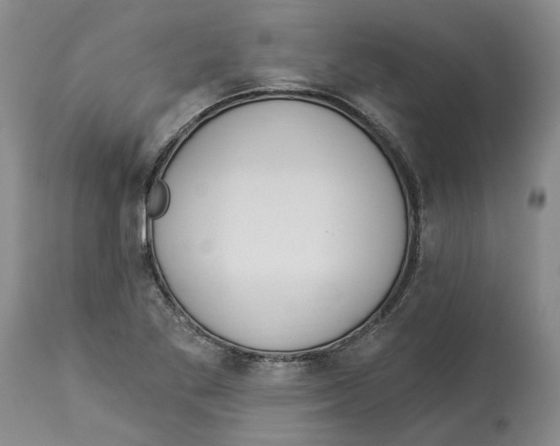 X0000114031269200910231851