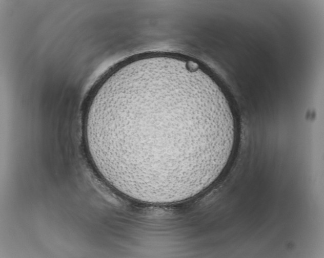 X0000114031270200910231851