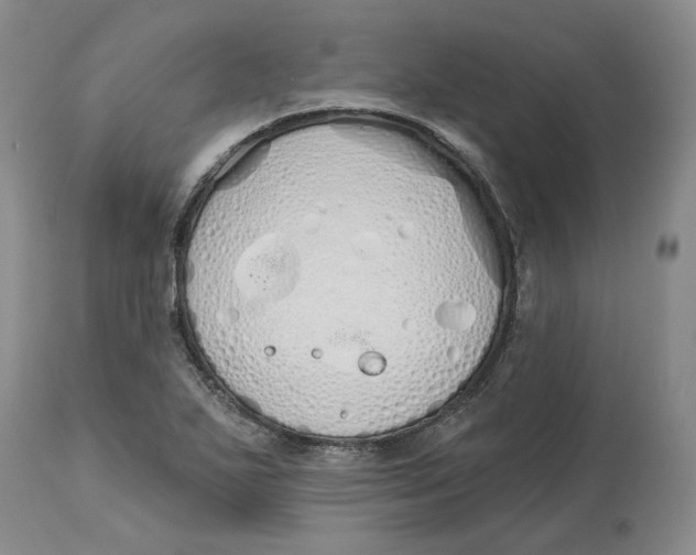 X0000114031271200910231851