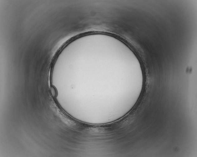 X0000114031272200910231851