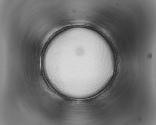 X0000114031275200910231851