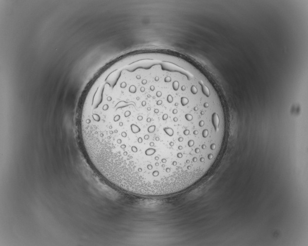 X0000114031278200910231851