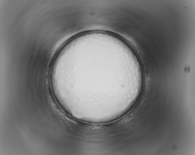 X0000114031279200910231851