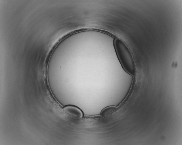 X0000114031280200910231851