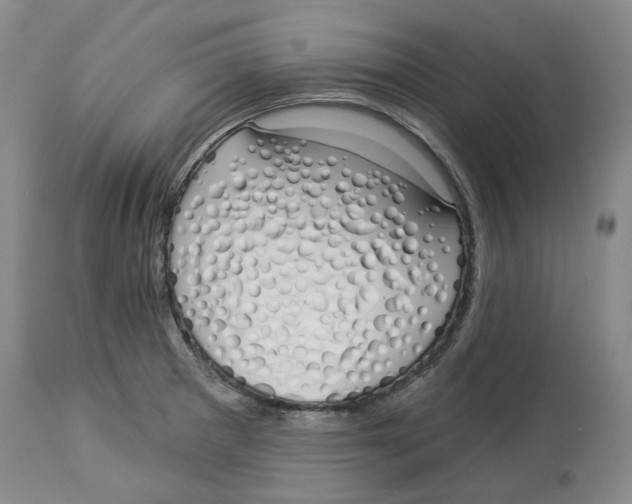 X0000114031281200910231851