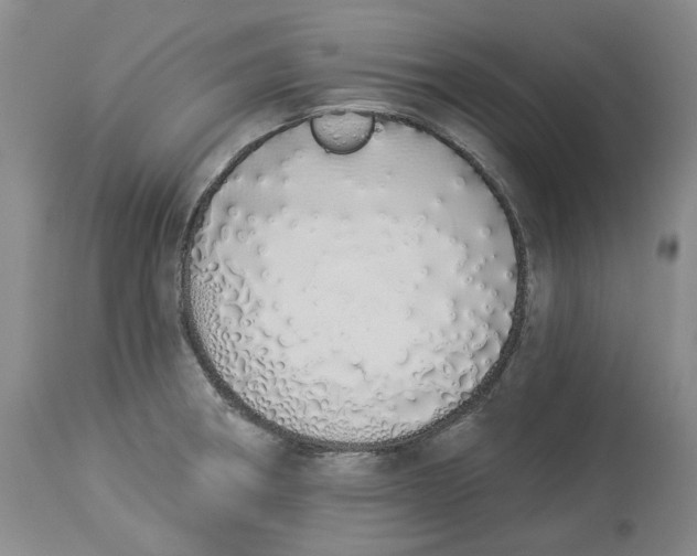 X0000114031282200910231851