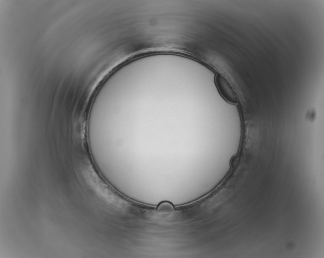 X0000114031284200910231851