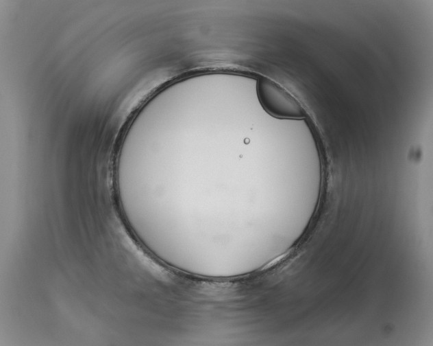 X0000114031285200910231851